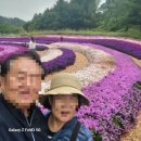 진부령미술관 | 고성에서 서울 가는길에 들린 인제 진부령미술관 용바위식당 인제가을꽃축제장
