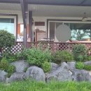 스텔라의 행복정원 이미지