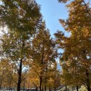 동탄4동어울림체육센터 이미지