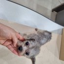 전주미산초등학교 이미지