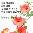 다음카페 NEW 사진 편집기 오픈 이미지