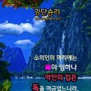 샬롬 - 부천시 원미구 원미동 | 샬롬