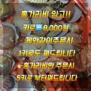 🦀나리네🦀토.일 판매품목/러시아대게(프리모리)선어특가 ♥️키로30,000원♥️ 이미지