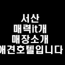 매력it개 이미지