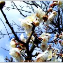 은혜병원 이미지