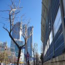 신중동불가마사우나 | 부천사우나 중 최고 우리불여성사우나 가서 새해 맞이 때 빼고 광내고 온 후기
