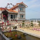 안집농장 이미지