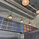 리즈동물병원 | 드디어 머릿결 구세주 만났어요! 헤어다이아 방문 후기