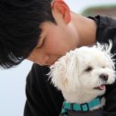 애견호텔 이미지