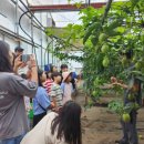 남곤농장 | 24년 8월 체험이벤트 2차후기