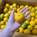 훈이네 농장 이미지