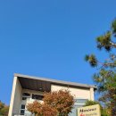 마리누스 | 가평 마리누스 풀빌라 후기｜공기 좋은 곳에서 누리는 프라이빗 힐링 🌿