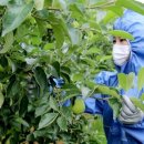 홍문표농장 이미지