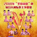 맹호체육관 | 2018 이동관선수의 WBA아시아 슈퍼밴텀급 중국원정타이틀전(圣母山泉杯WBA洲际拳王争霸赛) 경기리뷰
