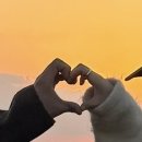 새물목장 이미지