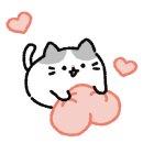 고양이병원 소설 이미지