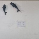 순돌이보리밥 이미지