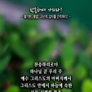 핸드폰 배경화면&amp;잠금화면_20250720_찬송하며 가리라!_에베소서 1장 3절_꽃기린_꽃말 '고난의 깊이를 간직하다'_오순절 후 여섯 이미지