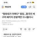 대한민국 청와대 근황 이미지