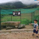 자뭇골공원 이미지