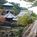 부경원예농업협동조합 이미지