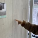 (주)32마루수성 | 대구 마루 전문 매장 구정마루 방문 상담 후기, 여러 브랜드 마루 비교