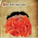 콩쥐팥쥐 이야기 이미지