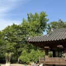 카페앤라씨 하우스 | 신라호텔 주변 아이와 가기 좋은 한옥 카페 '하우스 커피 앤 디저트' 방문 후기