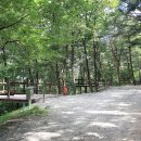 행복숲체험원오토캠핑장 이미지