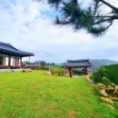 청산도 나루한옥펜션 | 청산도펜션 슬로우시티 한옥마을 속 바다 전망 청산도한옥펜션 청산도한옥나루펜션