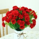 은혜 세탁 이미지