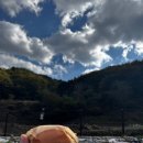 김천맑은계곡 오토캠핑장 | 김천 맑은계곡 캠핑장 - 물소리 따라 쉬어가는 힐링캠핑기