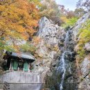 홍룡폭포(홍룡사) | 부산 근교 가볼만한 양산 홍룡사,홍룡폭포 단풍 가족여행 후기