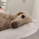 바다가쓴시 이미지