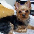 인천구월서초등학교 이미지