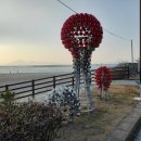 석양을 품은 물고기 이미지