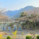 수변로(수변로 115 일원) 네이버블로그