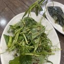 시흥맛집_정육왕님도 극찬한 직접 농가에서 키운 한우 가성비 맛집 한우모듬 후기 [한신가든]