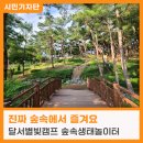별빛캠프 이미지