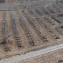 인의축산 이미지