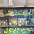 무주오리펜션 이미지