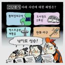 양털뉴스와 시사만화~ 이미지