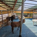 창훈농장 이미지