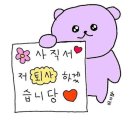 베르데이 | [베르데이] 남악 꽃집 내돈내산 솔직후기
