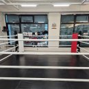 맨투맨프리미엄복싱 이미지