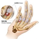 서울연세21세기의원 이미지