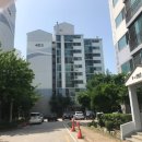 미소지우약국 이미지