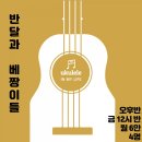 반려악기 우쿨렐레 이미지