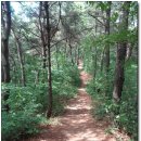 신동주유소 이미지