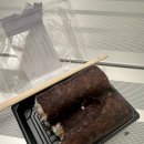 파주시의회 | 파주 2025 투움바시 어학연수